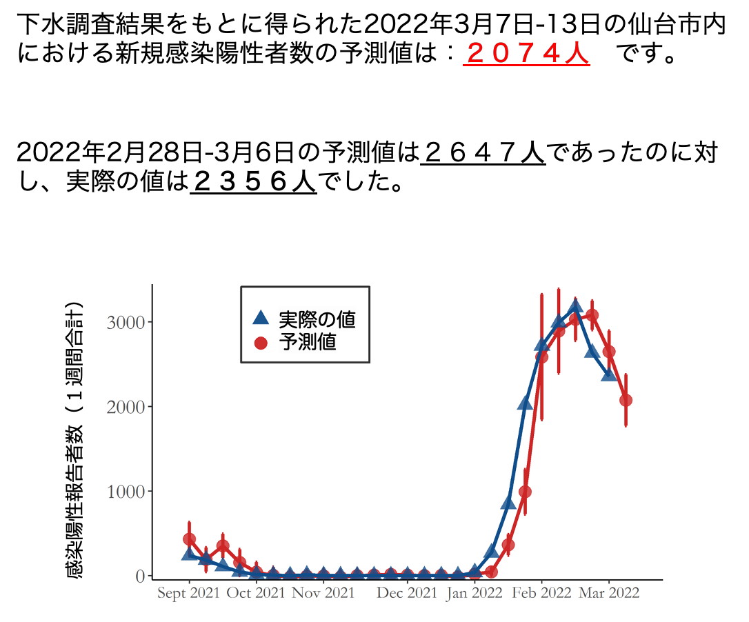 6週間で実際の結果